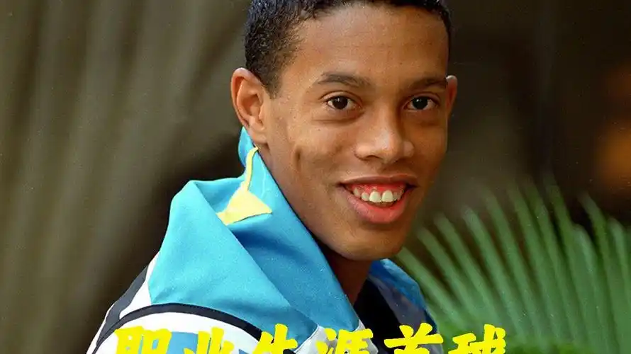 它强调了弗